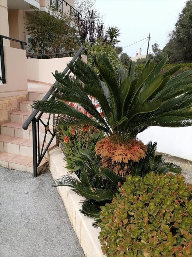 Kydoni Apartments And Studios Agia Marina Exteriér fotografie