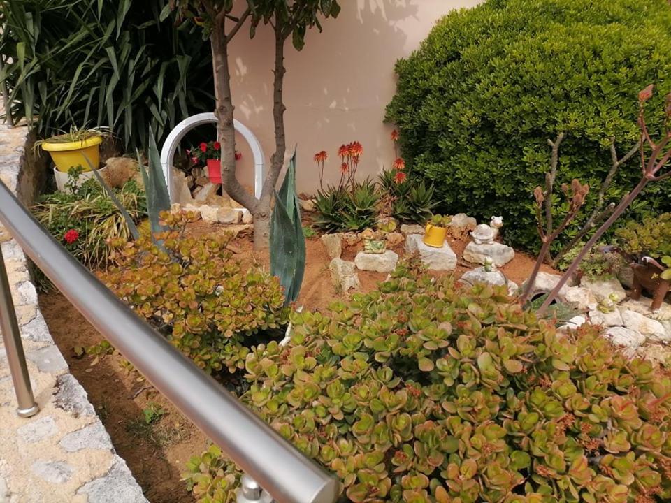 Kydoni Apartments And Studios Agia Marina Exteriér fotografie